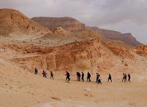 Nagranie: Atrakcje pustyni Negew i Beduini na pustyni!